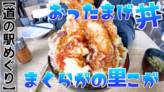 【道の駅めぐり】道の駅 まくらがの里こが で「おったまげ丼」を食べてきた！