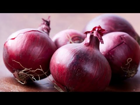 How to Use Raw Onions for Treating Colds and Stuffy Nose. How to Use Raw Onions for Treating Colds and Stuffy Nose.