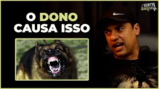 O QUE TORNA UM CACHORRO AGRESSIVO?