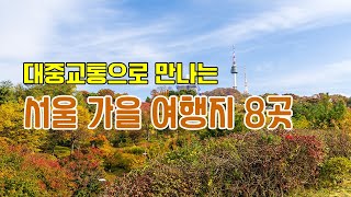 대중교통으로 갈 수 있는 서울 가을여행지 8곳/11월5일,6일 상황입니다