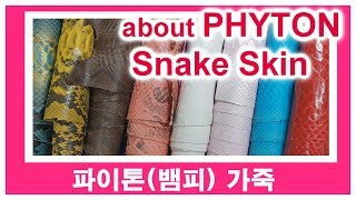 About Python skin - 파이톤(뱀피)