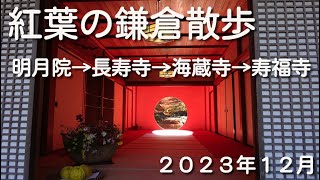 ２０２３年１２月紅葉の鎌倉散歩。明月院→長寿寺→海蔵寺→寿福寺