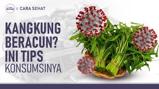 5 Tips Sehat Makan Kangkung, Biar Aman dari Racun dan Parasit | Hidup Sehat tvOne