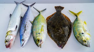 EXPEN$IVE vs TRASH Fish Taste Test *Catch Clean Cook* (Ladyfish Fritters)