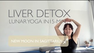 Set Powerful Intentions with New Moon in Sagittarius | Restorative Lunar Yoga for Focus & Renewal