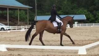 Ruby Dressage VA 2*