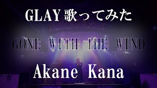 【女性が歌う】GLAY / GONE WITH THE WIND　covered by 赤音 叶