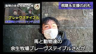 【視聴＆支援のお礼】感謝の一言 馬と動物達の余生牧場ブレーヴステイブル クラウドファンディング