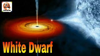 WHAT ARE WHITE DWARF STAR IN THE UNIVERSE || কীভাবে তারার মৃত্যু হয় || কীভাবে তারার জন্ম হয় || BY KB