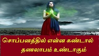 சொப்பனத்தில் என்ன கண்டால் தனலாபம் உண்டாகும் /Siththarkal Manthiram- Sithar- sithargal-siddhar