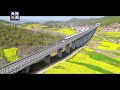 一路繁花一路春！“花海列车”自带春日氛围感 cctv