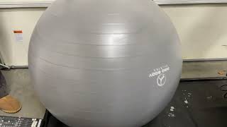 This yoga ball is HUGE (85 cm) -- ProBody Pilates Ball Exercise Ball Yoga Ball