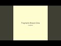 Fragments Breeze Glow