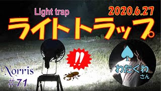 Light trap 2020.6.27