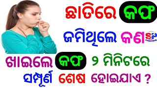 Odia Gk Questions And Answers || Odia Gk Quiz || General Knowledge Odia || Gk Question || Gk 2024