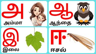 அஆஇஈஉஊஎஏஐஒஓஔ|Uyirezhuthukkal|உயிர் எழுத்துக்கள்|Easy learn kids tamil@KuttyChuttyTv