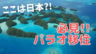 日本語が公用語？パラオ移住するには？