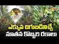 Special Story On Coconut Farming in Eluru | Coconut Cultivation by Coconut Board | @SakshiTVSagubadi