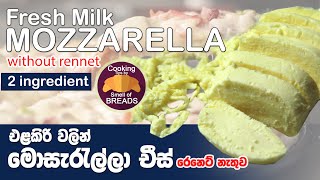 මොසරැල්ලා චීස් හදනහැටි එළකිරි වලින් |Mozzarella Cheese Make from Scratch | Without Rennet| Easy