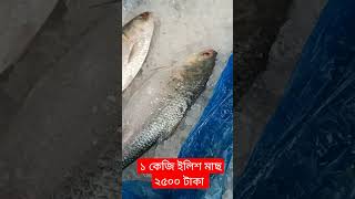 Doyel Agro ||১ কেজি ইলিশ মাছ ২৫০০ টাকা ||জীবনের প্রথম দেখলাম ||#shorts #vairal_video #ইলিশ_মাছ