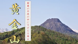 【北海道登山】黄金山