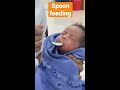 how to give spoon feeding to newborn pediatrics parentingtips newborn shorts babyvideos