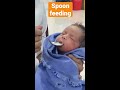 how to give spoon feeding to newborn pediatrics parentingtips newborn shorts babyvideos