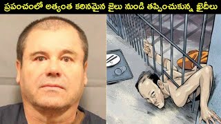 TOP 5 Prison escapes explained in telugu || Mr.Telugu #telugufacts #telugu #facts #interestingfacts