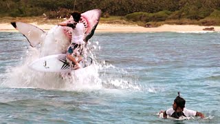 Shark attacks! All the craziest attack scenes from The Shallows 🌀 4K