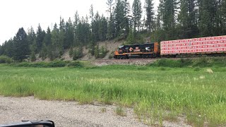 WAMX 3946 leads the Mission Mountain Railroad