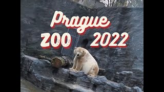 Travel to Czech Republic Prague 2022 捷克布拉格之旅行 3/3