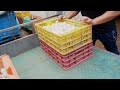 china duck farm full process 700 million eggs becoming ducks