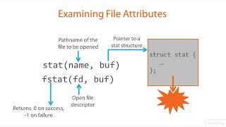 03 02 The stat System Call and stat Structure