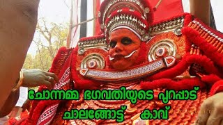 Chonnamma Bhagavathy ചോന്നമ്മ ഭഗവതിയുടെ പുറപ്പാട്  ചാലങ്ങോട്ട് കാവ്