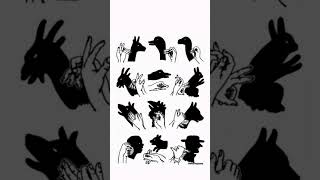 Learn This Amazing Hand Shadow Art || Raund02Alwar