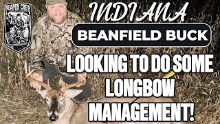 Heavy Indiana Whitetail Buck In The Bean Field: 4k Longbow Management Action!