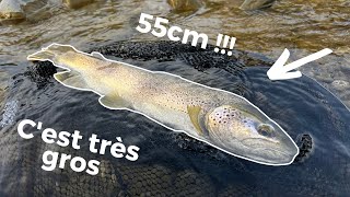 ÉNORME TRUITE de 55CM+ en Haute-Savoie et Jeu Concours !