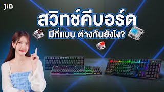 สวิทช์คีย์บอร์ดมีกี่แบบและแตกต่างยังไง คลิปนี้มีคำตอบ  | JIB Review EP.220