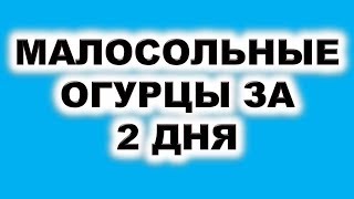 Самый вкусный рецепт малосольных огурцов за 2 дня.