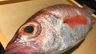 nodoguro(ノドグロ)Arrived rare fish from Japan #how to fillet #sushi#Aburi#