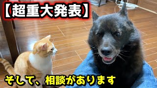 【超重大発表】内緒にしていてすみません。