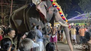 Varakkara Bhagwathy Pooram Chamayam and Aaraate #pooram Traditions #Pooram Documentary