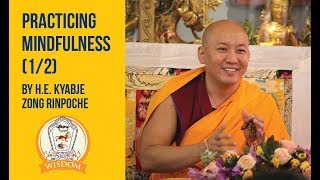 How to Practice Mindfulness in Our Daily Lives by H.E. Kyabje Zong Rinpoche (Part 1/2)