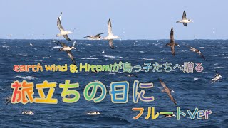 【祝卒業】旅立ちの日に〜巣立っていく島っ子たちへ〜フルートVer