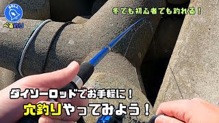 【穴釣り】ダイソーロッドと簡単仕掛けで冬のボウズ逃れ！