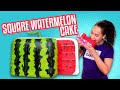 JAPANESE Square Watermelon CAKE!! | How To Cake It