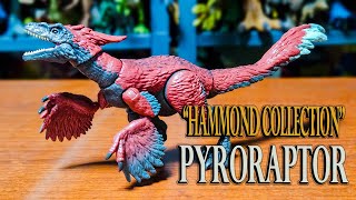 This Is Not Custom! Hammond Collection Pyroraptor Review!!! (Jurassic World Hammond Collection)