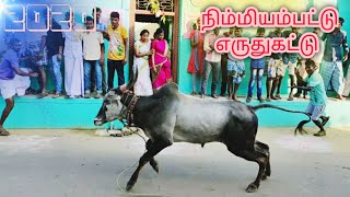 2020 Nimmiyambattu Erudhukattu-001|நிம்மியம்பட்டு உள்ளூர் எருதுகட்டு 2020|Village Bull Race 2020