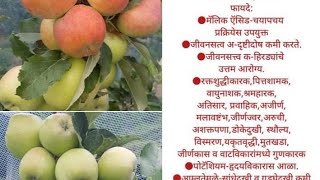 9822050489 /8483836793 -- मागाल ते रोप मिळेल,शासन मान्य नर्सरी ,अनुदान पाञ,घरपोच,योग्य सल्ला