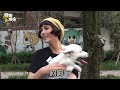 寵物情緣 魏蔓養狐狸犬圓媽咪夢 蘋果日報 20150124